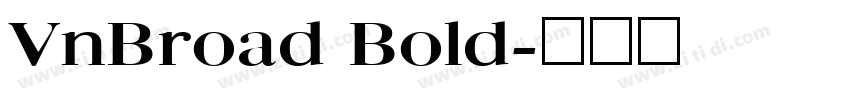 VnBroad Bold字体转换